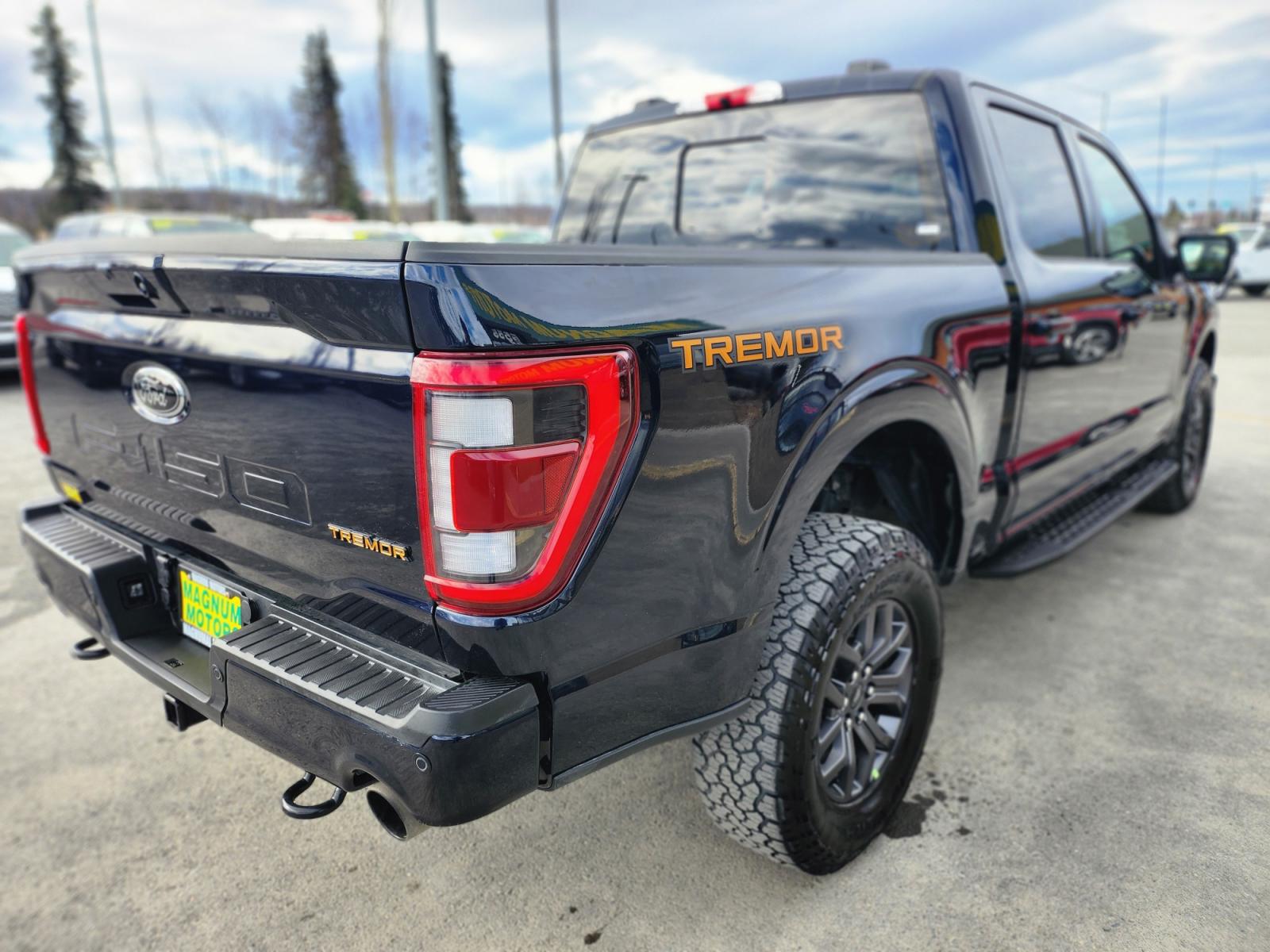 2022 BLUE /BLACK FORD F-150 TREMOR (1FTEW1E81NF) with an 3.5L engine, Automatic transmission, located at 1960 Industrial Drive, Wasilla, 99654, (907) 274-2277, 61.573475, -149.400146 - Photo #5